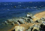 Ученые: Аральское море перестало высыхать